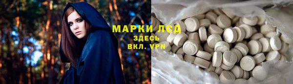 ГАЛЛЮЦИНОГЕННЫЕ ГРИБЫ Липки