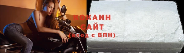 ГАЛЛЮЦИНОГЕННЫЕ ГРИБЫ Липки