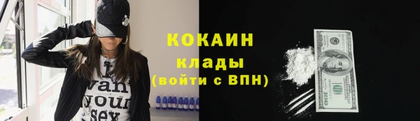 индика Лагань