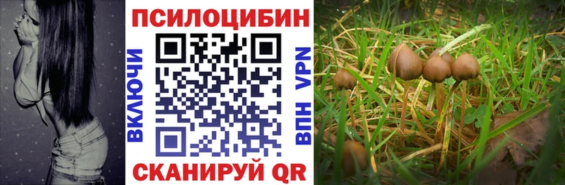 Галлюциногенные грибы мицелий  Невельск 