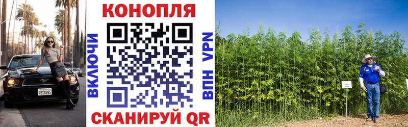 купить наркотик  Невельск  Каннабис White Widow 